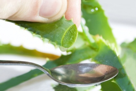 Sivilceler İçin Aloe Vera Maskesi