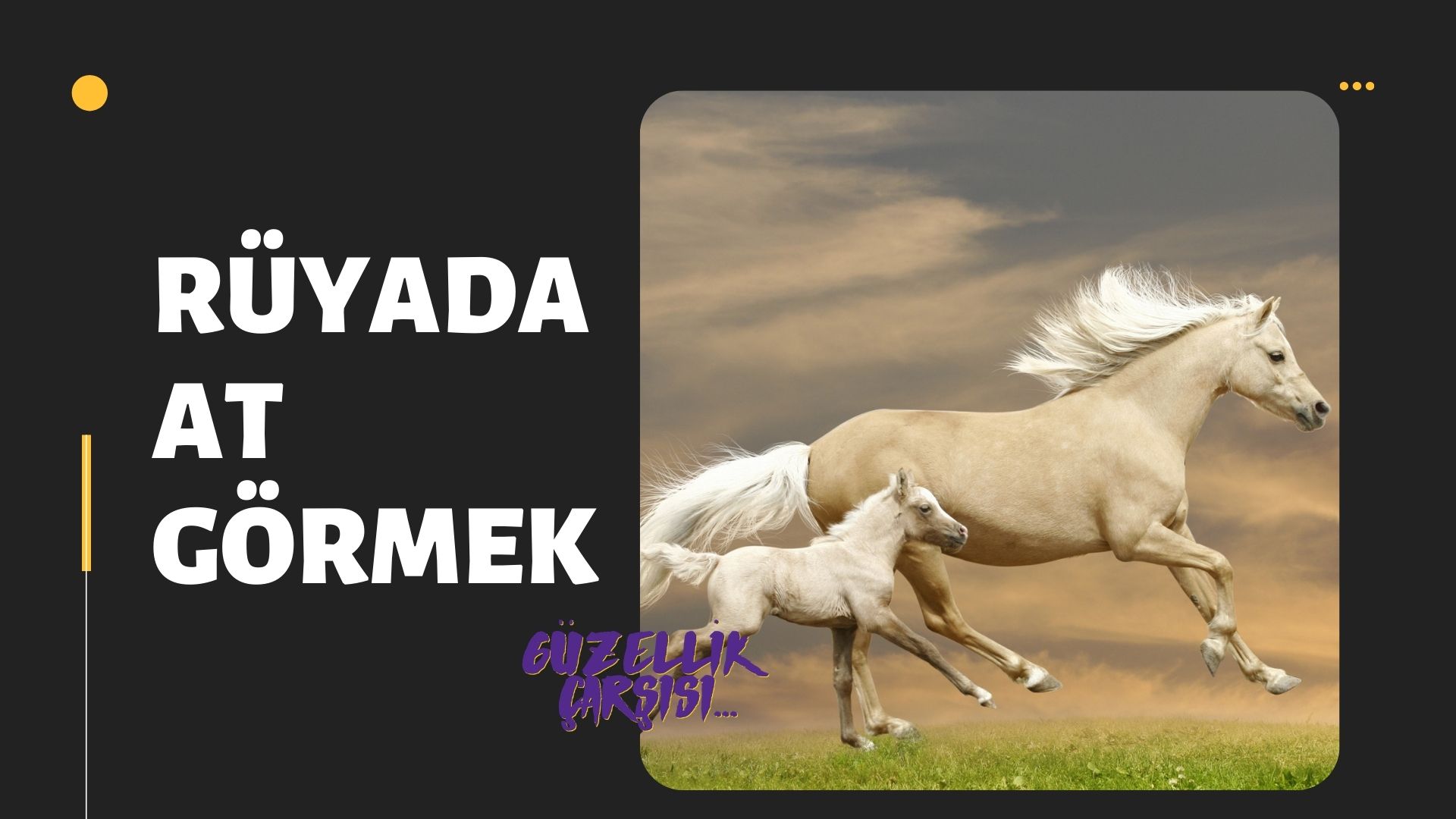 Rüyada At Görmek | Rüyada At Görmek Ne Anlama Gelir?