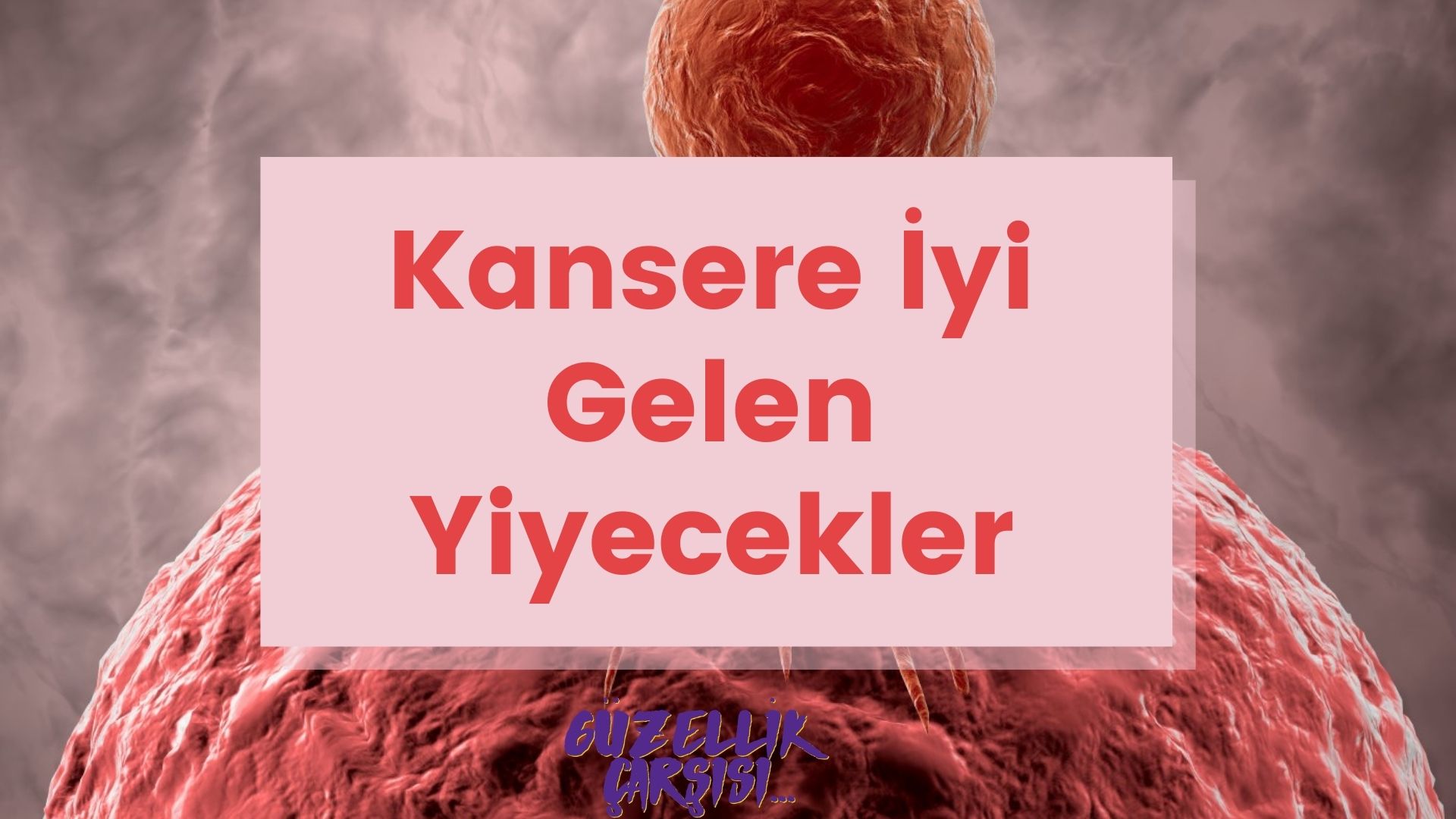 Kansere İyi Gelen Yiyecekler | Kansere İyi Gelen Besinler